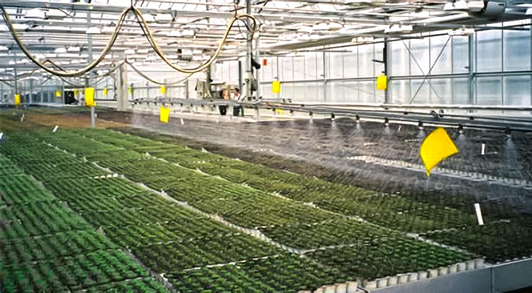 patterson consulting photo gallery agribusiness image